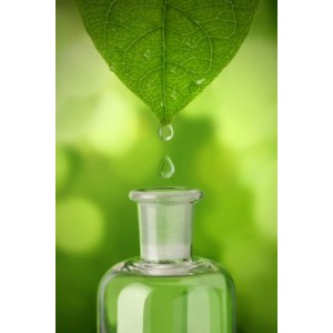 GreenBeam